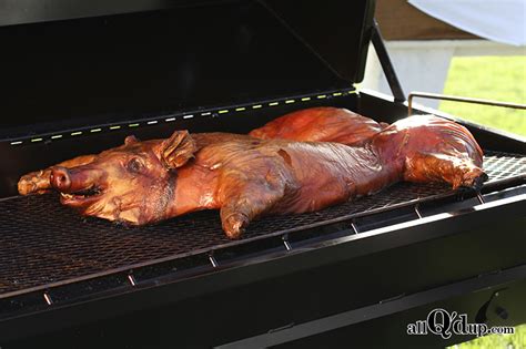 cook whole pigs steel box|how long to cook a pig.